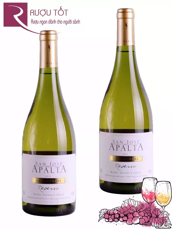 Vang Chile Apalta Reserva Chardonnay Rapel Valley Cao cấp