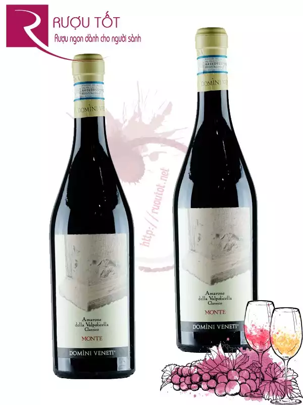 Vang Ý Amarone Monte thượng hạng