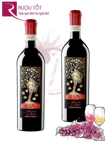 Rượu Vang Amarone Mater Premium - Cao cấp