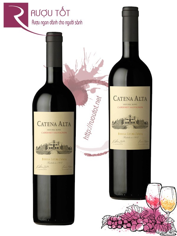 Rượu Vang Catena Alta Cabernet Sauvignon