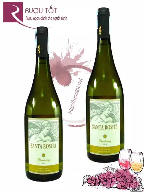 Vang Chile Santa Rosita Chardonnay Thượng hạng