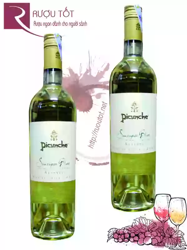 Vang Chile Picunche Sauvignon Blanc Reserve Thượng hạng