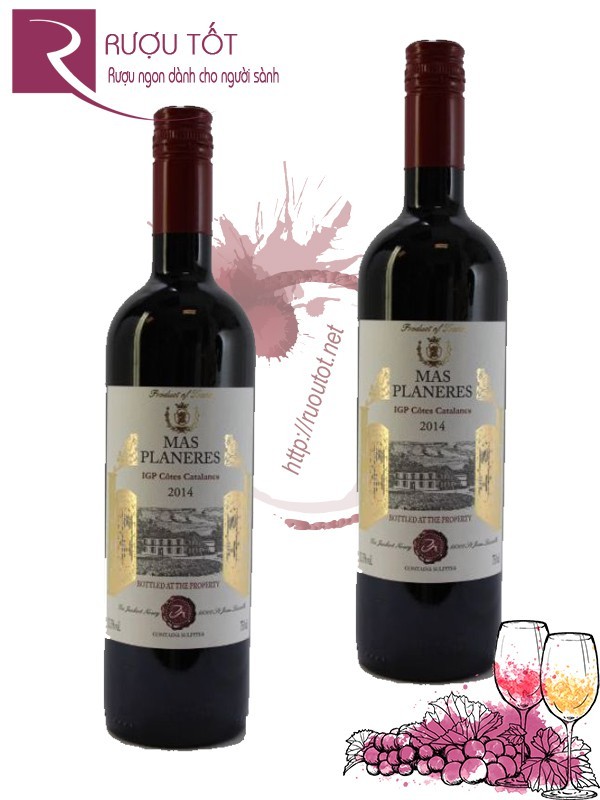 Vang Pháp Chateau Planeres Cotes Catalanes Rouge Thượng hạng