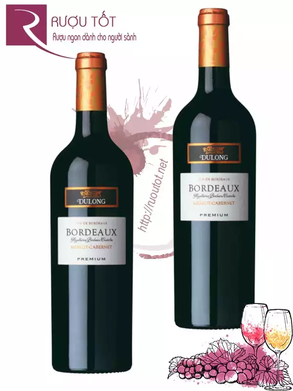 Vang Pháp Bordeaux Merlot Cabernet Premium