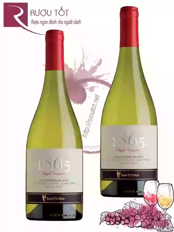 Rượu Vang 1865 Single Vineyard Sauvignon Blanc