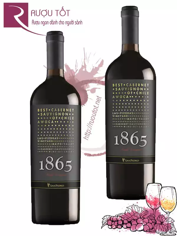 Vang Chile 1865 Awoca Cabernet Sauvignon