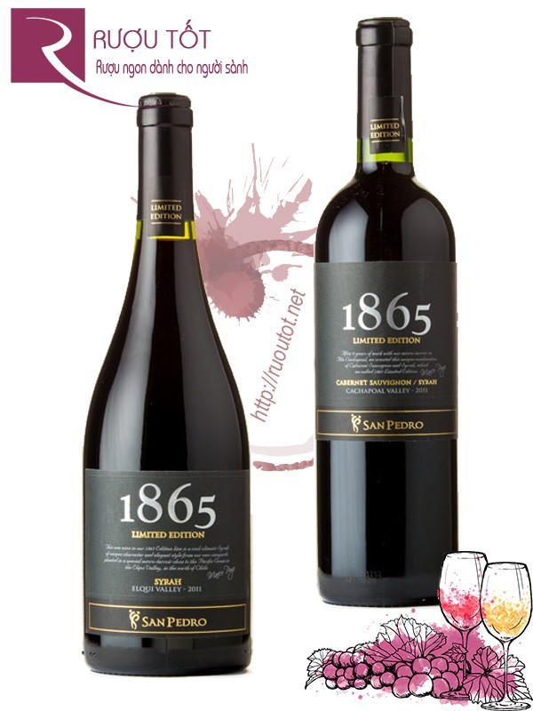 Vang Chile 1865 Limited Edition Blend/Syrah