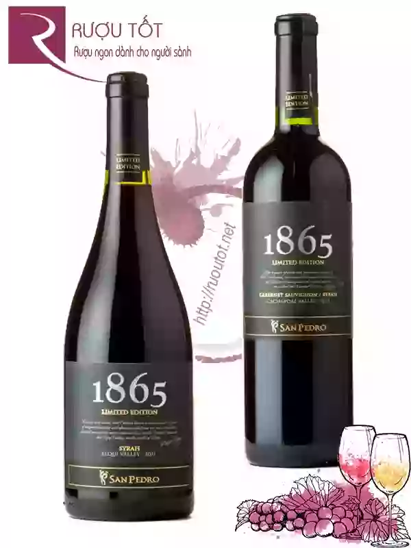 Vang Chile 1865 Limited Edition Blend Syrah