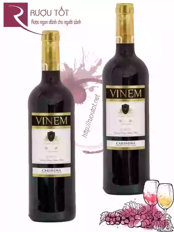 Rượu vang VINEM Carinena Reserva Chính hãng