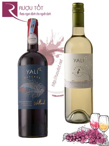 Vang Chile Yali Reserva (red-white) Cao Cấp
