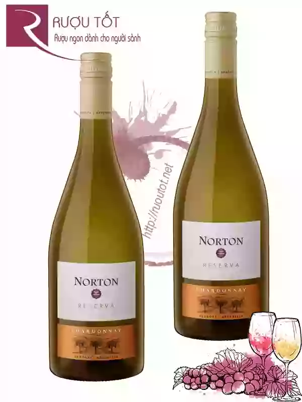 Rượu Vang Norton Reserva Chardonnay Bodega