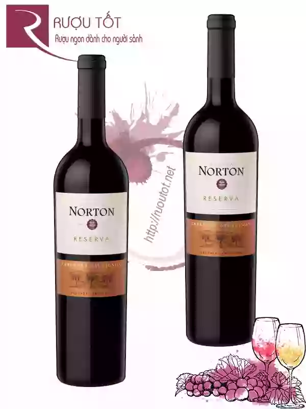 Rượu Vang Norton Reserva Cabernet Sauvignon Bodega