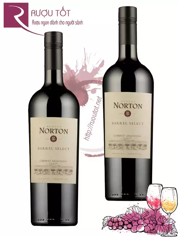 Rượu Vang Norton Barrel Select Cabernet Sauvignon Bodega