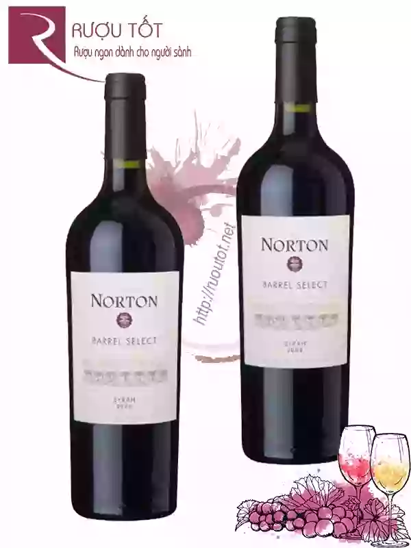 Rượu Vang Norton Barrel Select Syrah Bodega