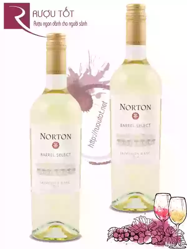 Rượu Vang Norton Sauvignon Blanc Coleccion Varietales Bodega