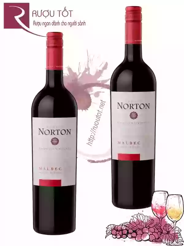 Rượu Vang Norton Malbec Coleccion Varietales Bodega Cao Cấp