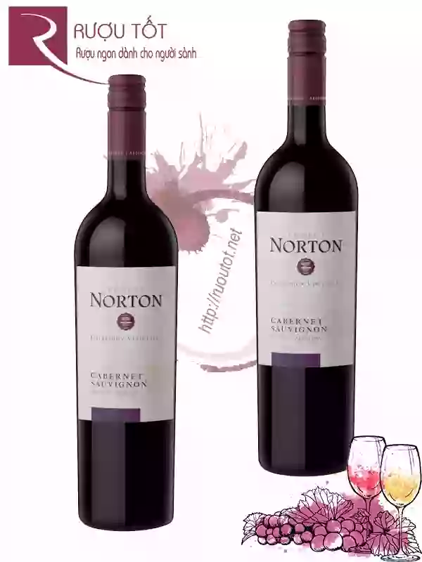 Rượu Vang Norton Cabernet Sauvignon Coleccion Varietales Bodega