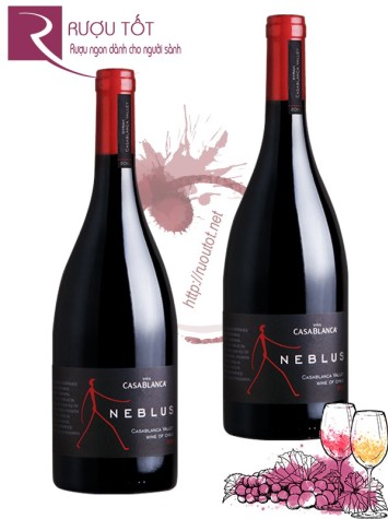 Vang Chile Neblus Casablanca Icon Wine Thượng hạng