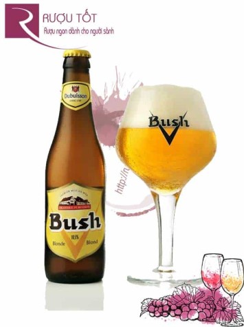 Bia Bush Blond 10.5% Bỉ - chai 330ml