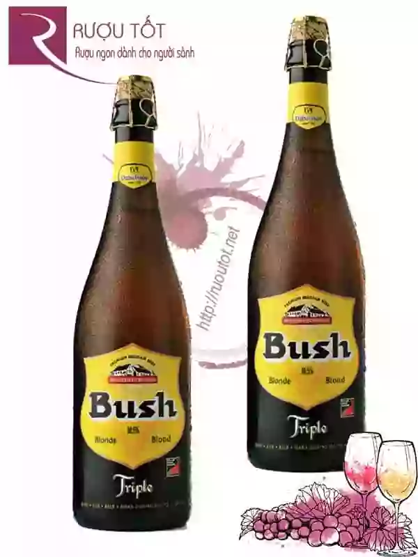Bia Bush Blond 10.5% Bỉ - chai 750ml