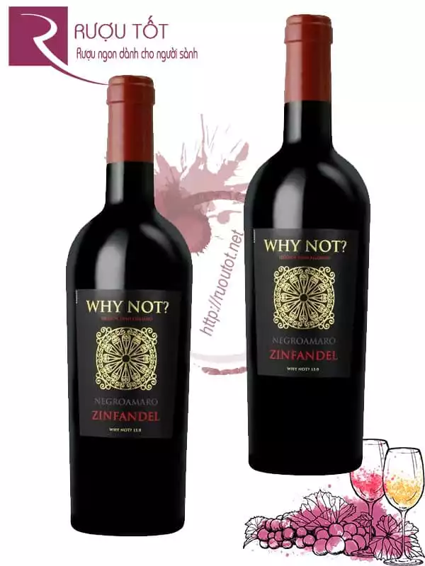 Vang Ý Why Not Zinfandel Negroamaro Hảo hạng