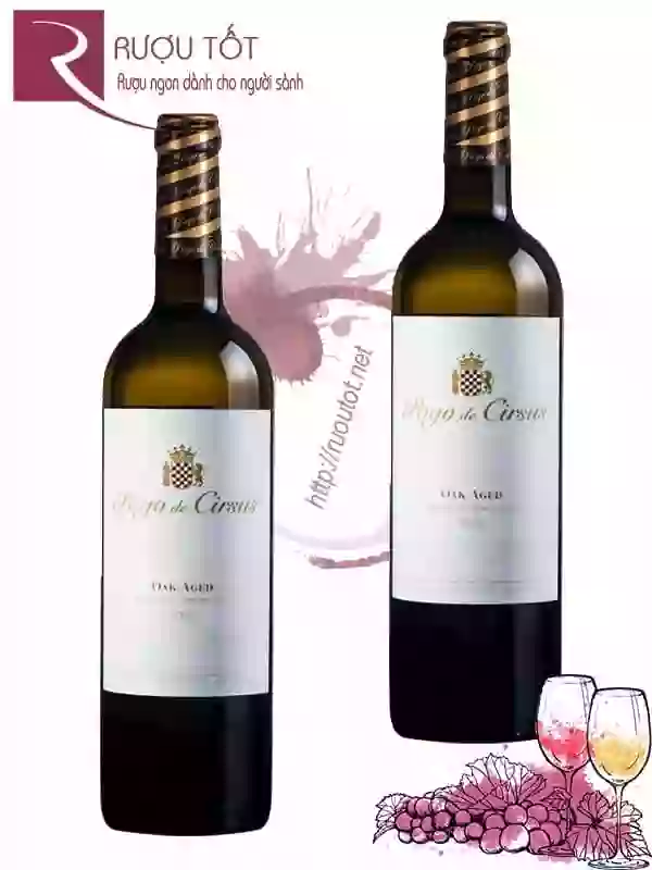 Rượu Vang Pago de Circus Oak Aged Thượng hạng