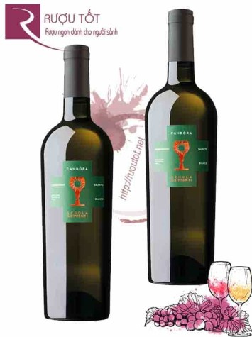 Rượu Vang Ý Candora Chardonnay Schola Sarmenti