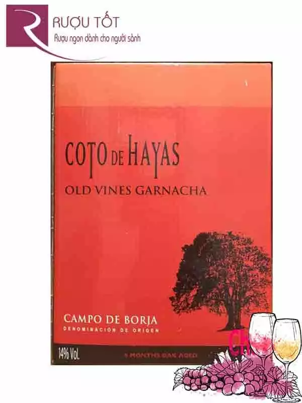 Vang bịch TBN Coto de Hayas 3 Lít Thượng hạng