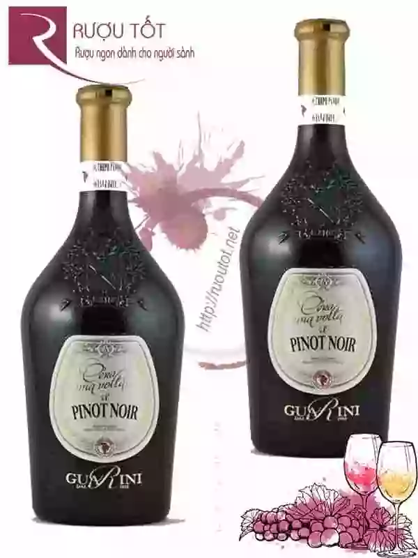Vang Ý Pinot Noir Losito Guarini CEra Una Volta Thượng hạng