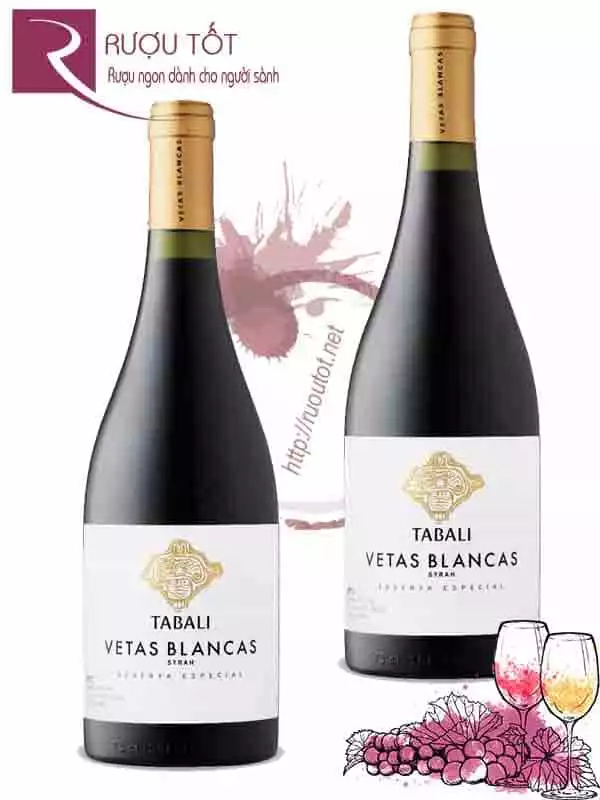 Vang Chile Vetas Blancas Tabali Syrah Reserva Especial