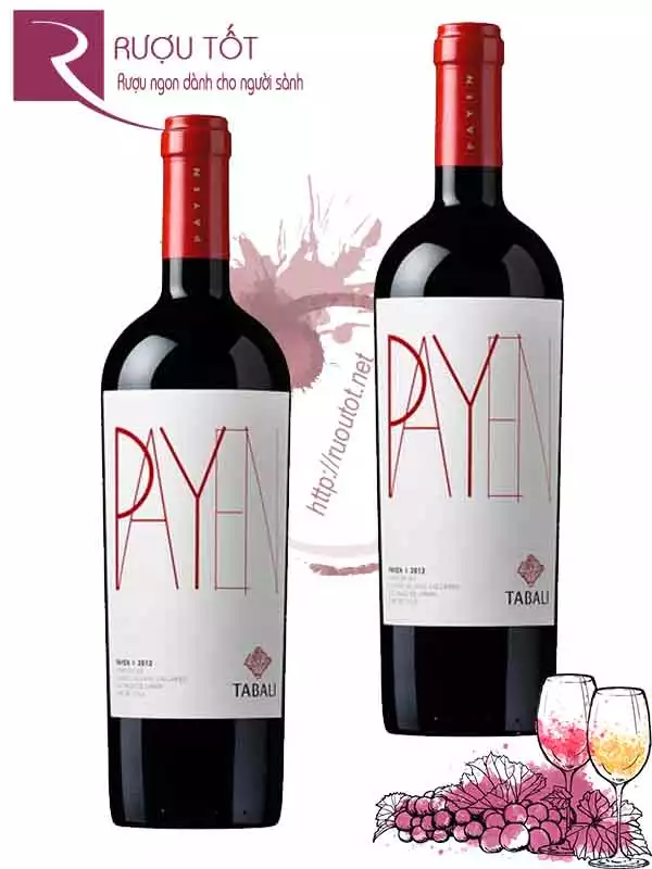 Vang Chile Payen Tabali Syrah Cabernet Sauvignon