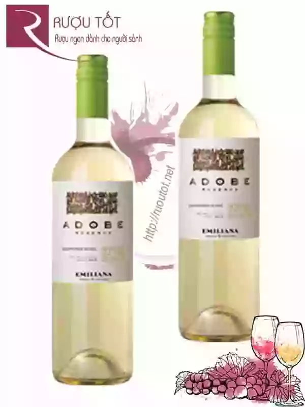 Vang Chile Adobe Emiliana Organic Reserva Sauvignon Blanc Cao cấp
