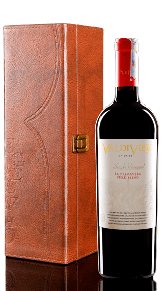 ruou-vang-chile-valdivieso-single-la-primavera.png