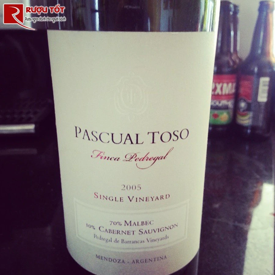 pascual toso finca pedregal 2006