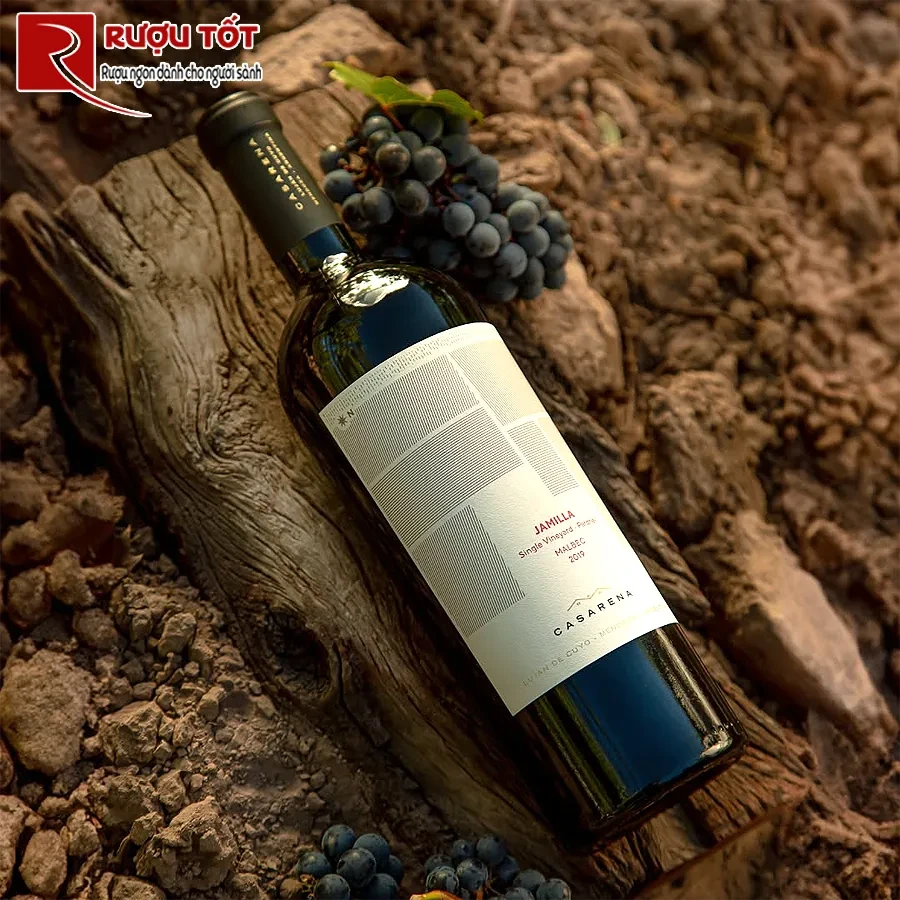 Rượu Casarena Single Vineyards Jamillas Vineyard