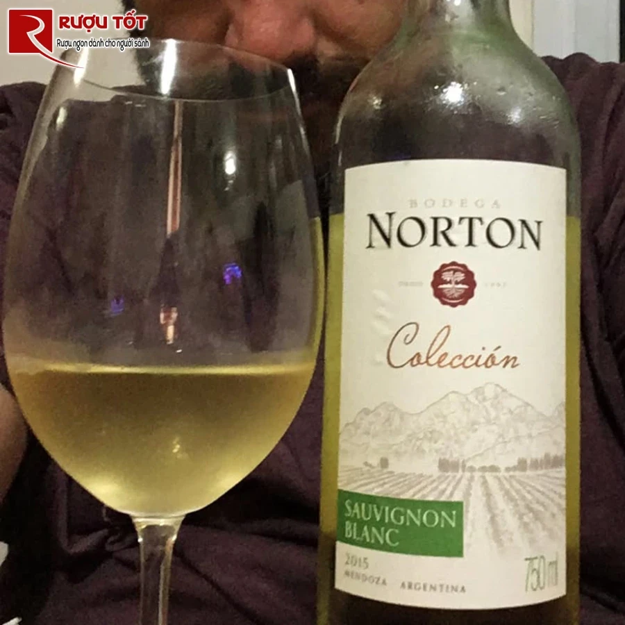 ruou norton sauvignon blanc coleccion varietales bodega uy tin