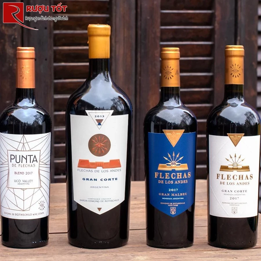 Rượu Pháp Flechas de Los Andes Gran Malbec