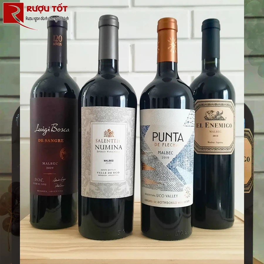 Rượu Punta de Flechas Malbec Mendoza