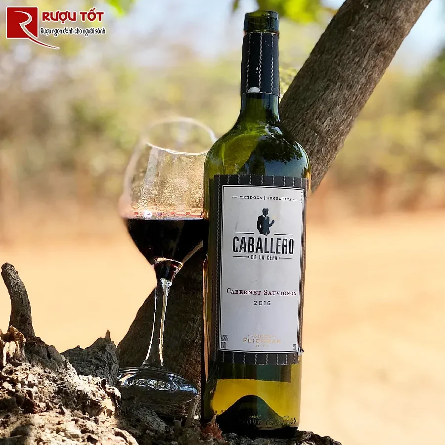 ruou vang caballero de la cepa cabernet sauvignon finca flichman