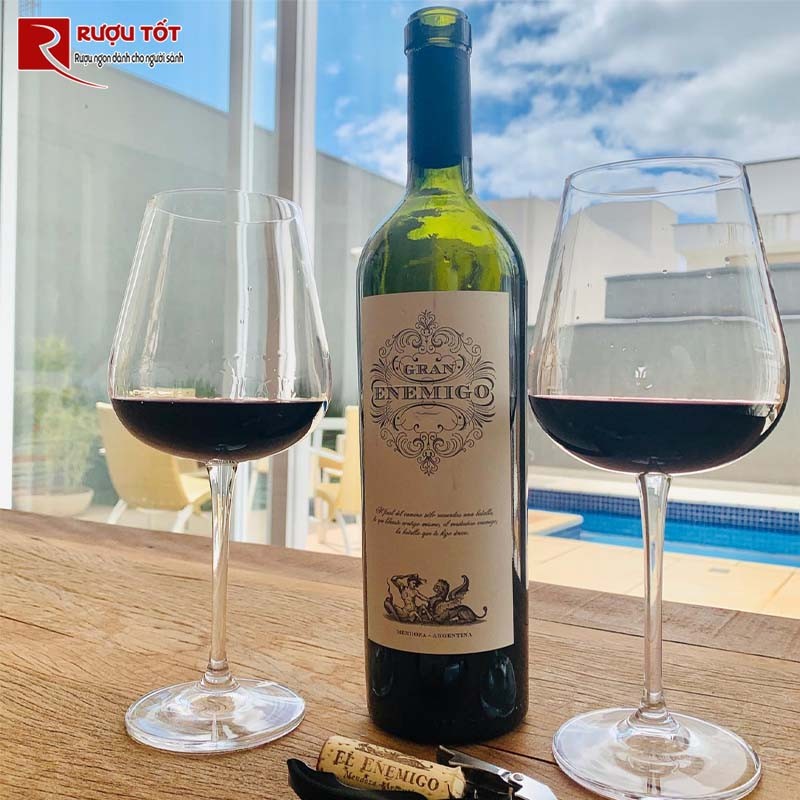 Rượu Vang Gran Enemigo Mendoza