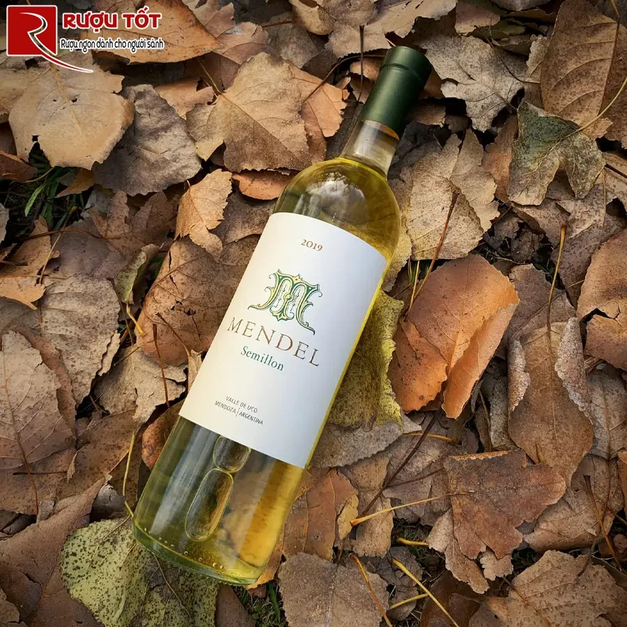 Rượu vang Mendel Semillon