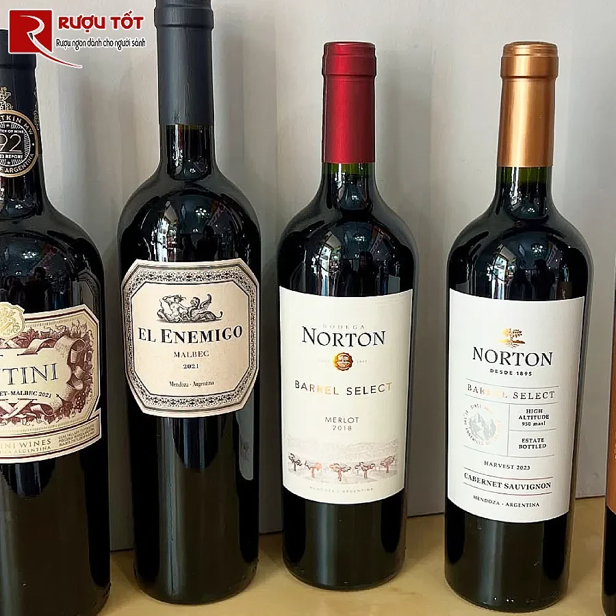 ruou vang norton barrel select merlot bodega