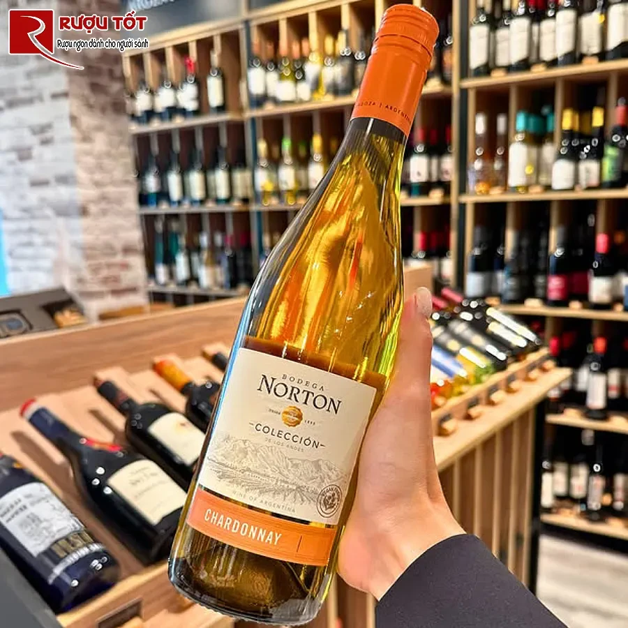 ruou vang norton chardonnay coleccion varietales bodega