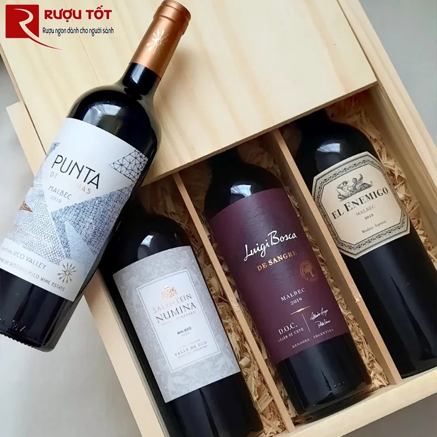 Rượu vang Punta de Flechas Malbec Mendoza