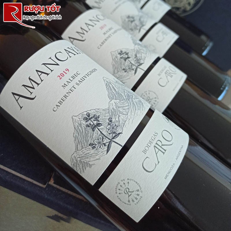 vang Amancaya Malbec Cabernet Sauvignon