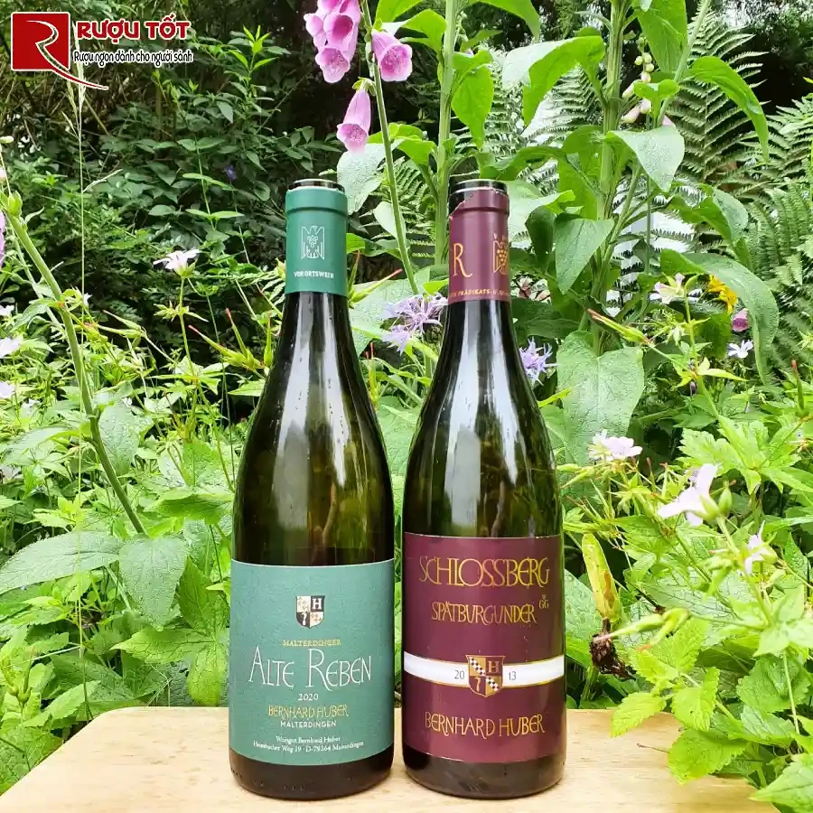 ruou vang duc schlossberg spatburgunder bernhard huber