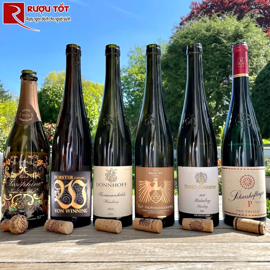 Rượu vang Von Winning Forster Dry Riesling