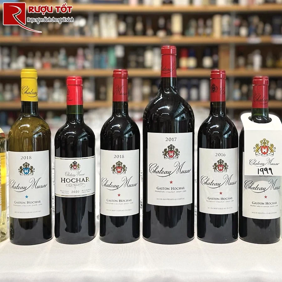 Rượu vang Chateau Musar Valle de la Bekaa