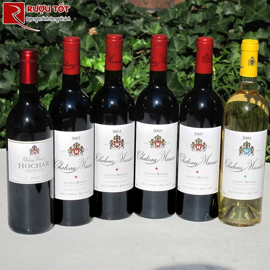 Rượu vang đỏ Chateau Musar Valle de la Bekaa