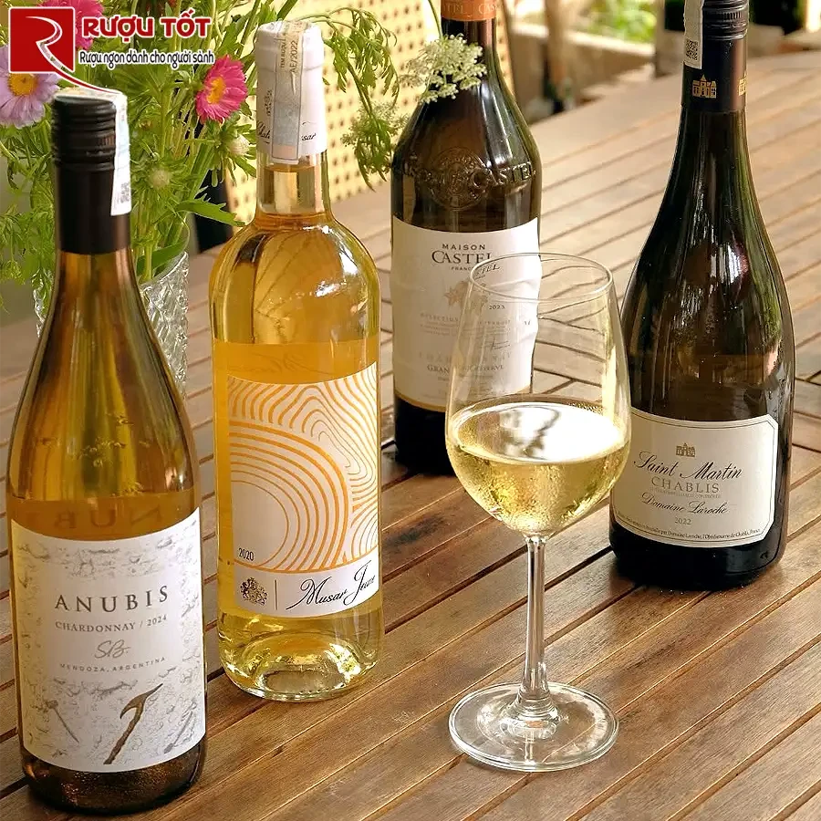 Rượu vang Musar Jeune Rose Valle de la Bekaa